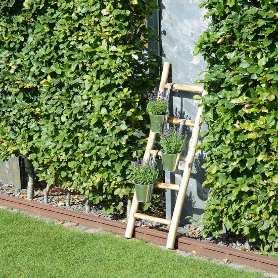 Decoratieve houten ladder met drie zilveren emmers met lavendel, staand tegen een groene heg.