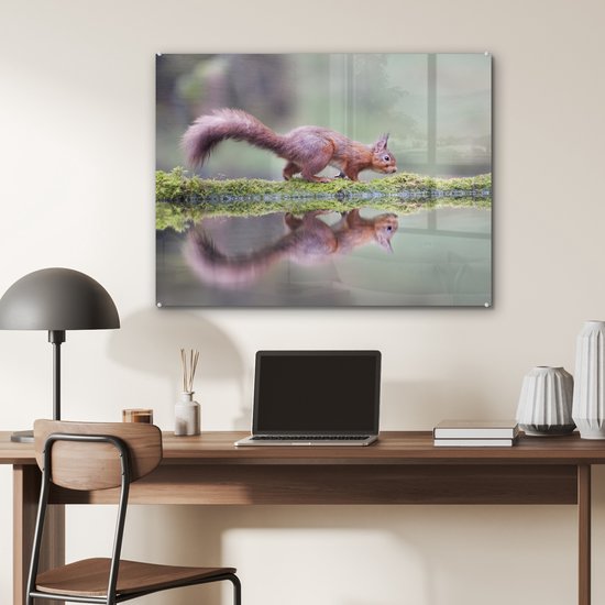 Peinture sur Verre - Écureuil - Mousse - Water - Reflet - 80x60 cm - Peintures sur Verre Acrylique - Photo sur Glas