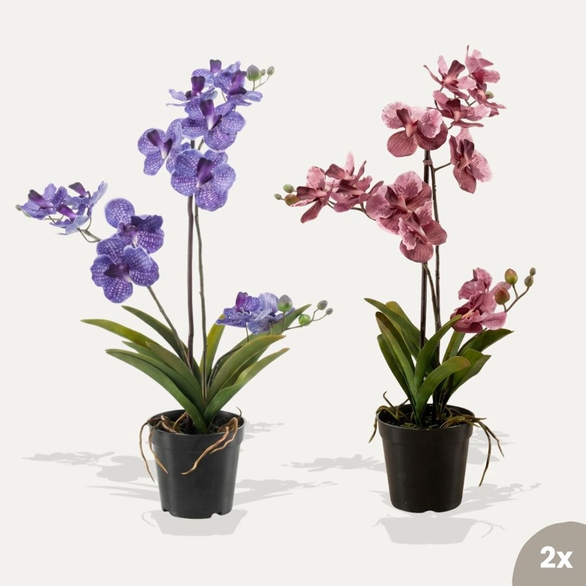 Orchidee Vanda mix - 2 stuks - Kunstplanten - Bundelset