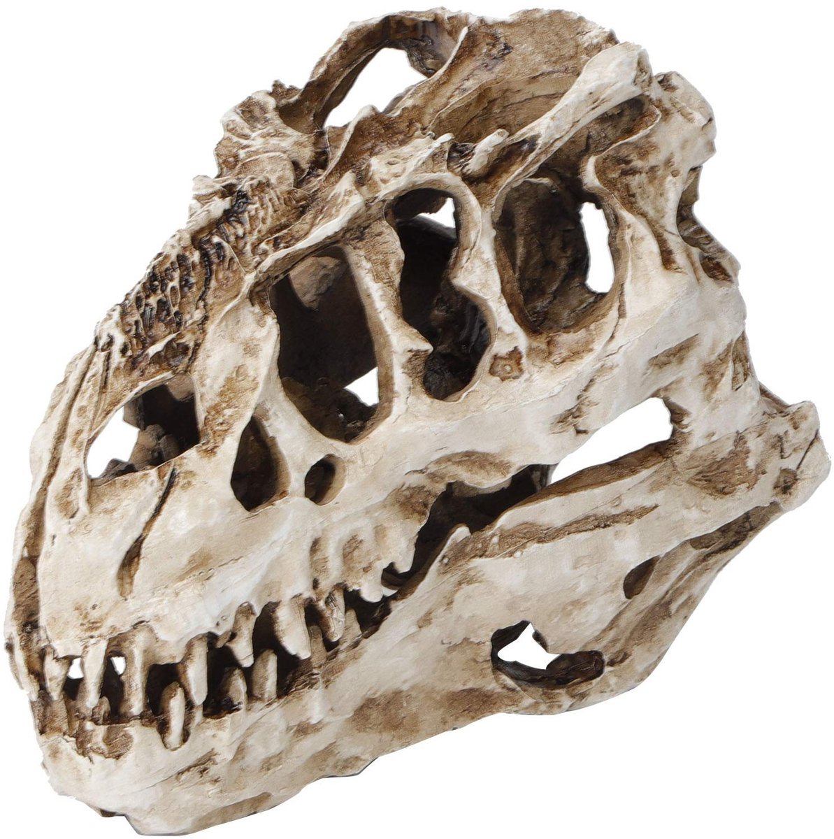 aladdien - Hars dinosaurus schedel ornament - Halloween decoratie - Grappig en griezelig - Educatief handwerk - Uniek kunstwerk - Geschikt voor kant..
