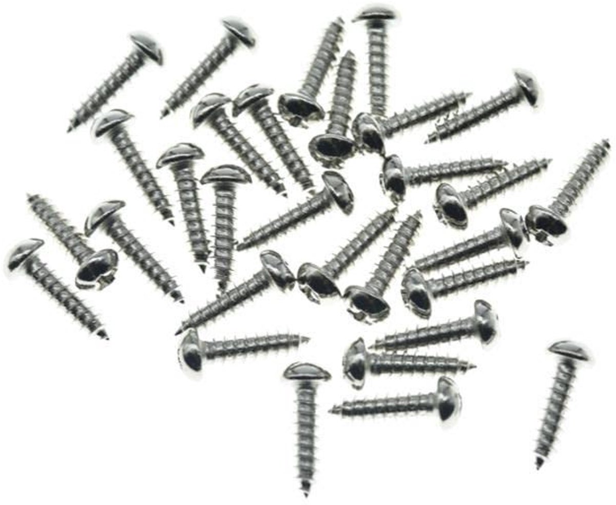 Stainless Steel Phillips Head Guitar Tuning Machine Head Screws voor Gitaren en Bassen - 30x 3/8" Pins en Schroeven