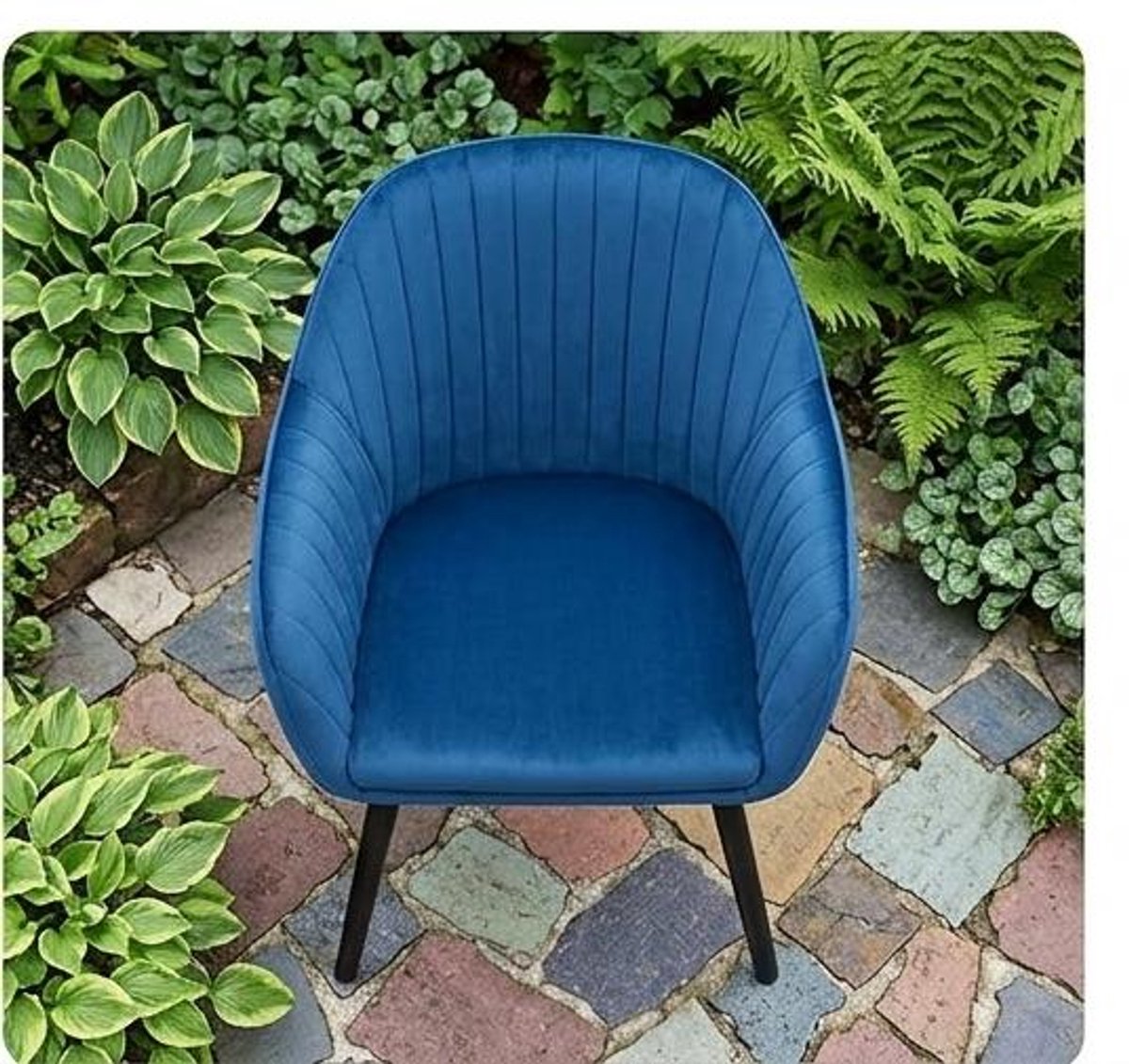 Eetkamerstoelen Set van 4 40x40x81 cm – Fluwelen Stoelen met Armleuningen, Ergonomische Rugleuning, Massief Houten Frame, Gestoffeerd, Moderne Keuken- & Woonkamerstoelen, Crème-Wit – Urbanhome