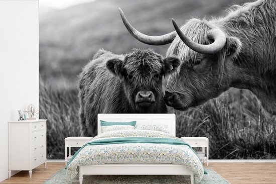 Behang - Fotobehang Schotse hooglander - Kalf - Zwart - Wit - Breedte 330 cm x hoogte 220 cm