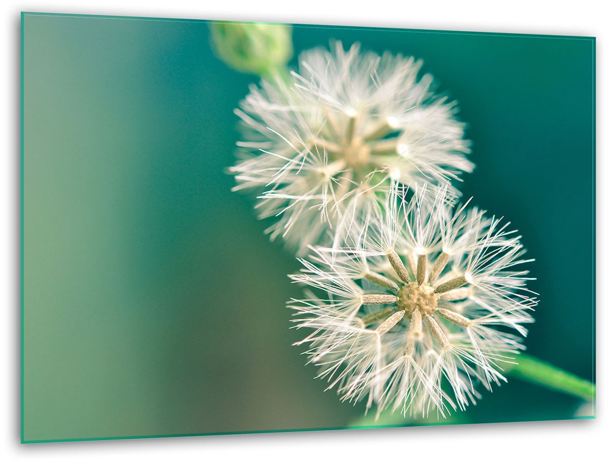 TMK ArtDeko - Glazen Snijplank - 40x30 cm - Bloemen