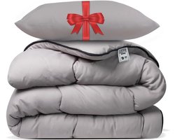 Dekbed zonder overtrek - Hoesloos dekbed Slaapbundel - Direct slapen - Wasbaar op 60 graden - 200x200 cm - Taupe