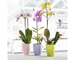 Bloempot Orchidee 15 cm Wit - Stevige Plantenpot met Verhoogde Basis voor Drainage