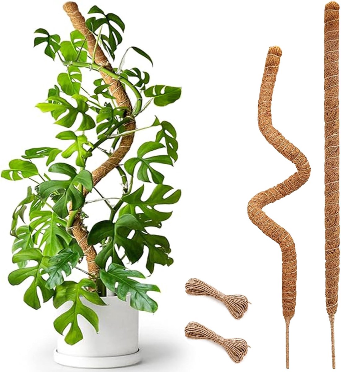 Set van 2 stuks 60 cm lange buisvormige kokosvezelstokken - 