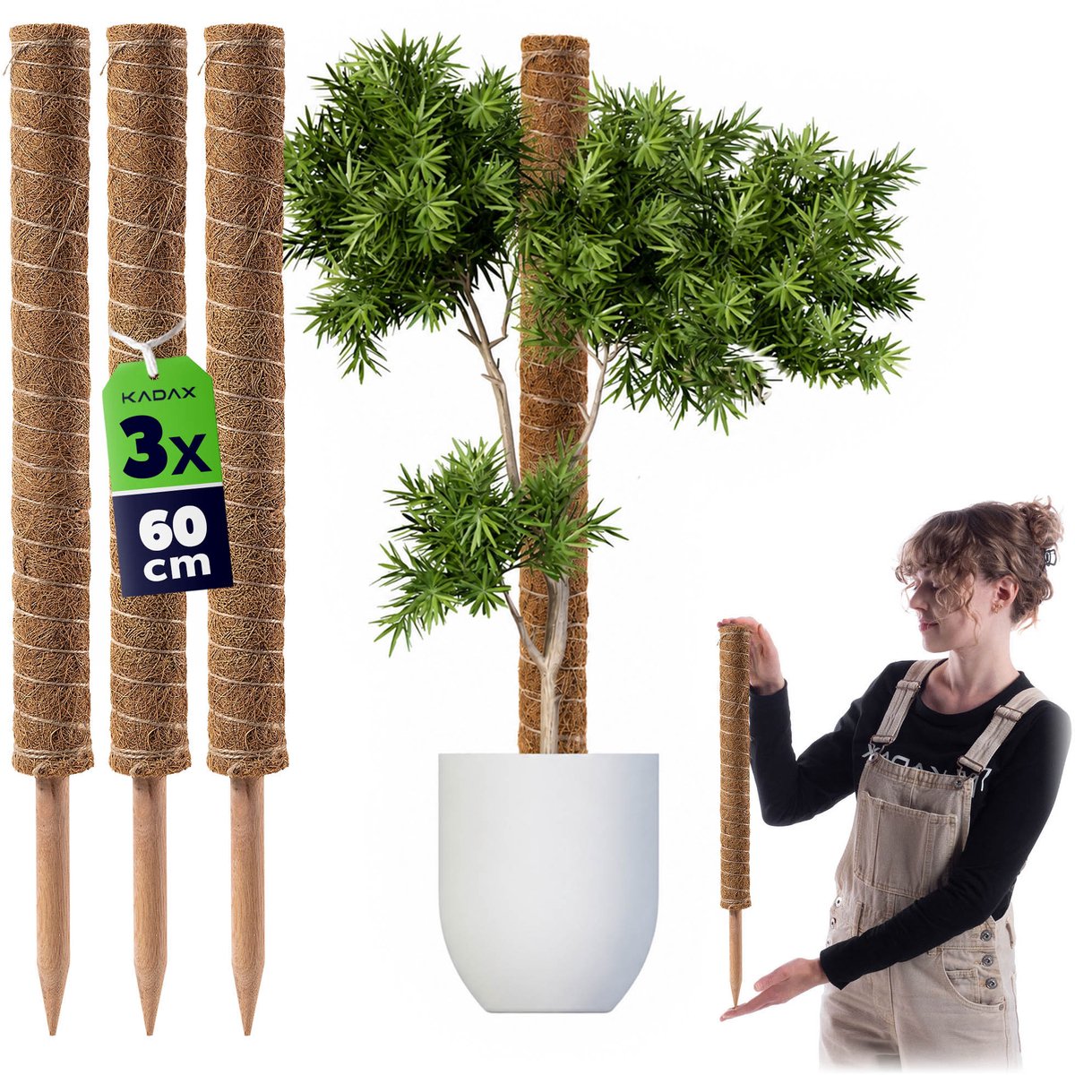 Cande kokosplantenstok 60 cm potsteun 3 st.