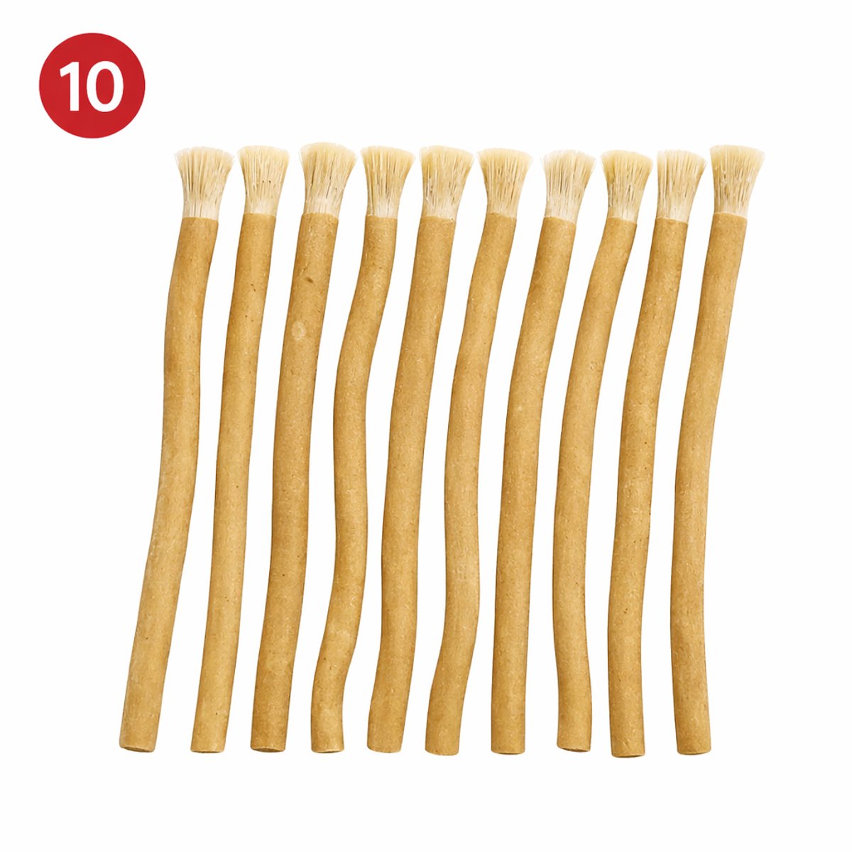 Miswak 10 stuks – Siwaak – Siwak – Natuurlijke Tandenborstel – Biologisch & Fluoridevrij – Antibacterieel