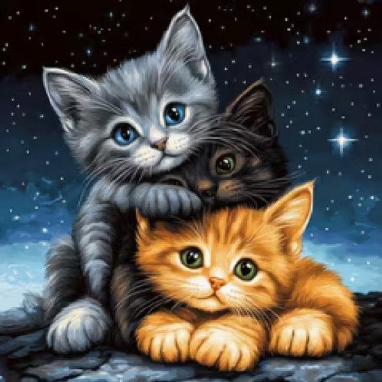 Kit de broderie complet pour adultes - Pré-imprimé - Chatons - Loisirs créatifs - Kit de broderie - 40x40 cm