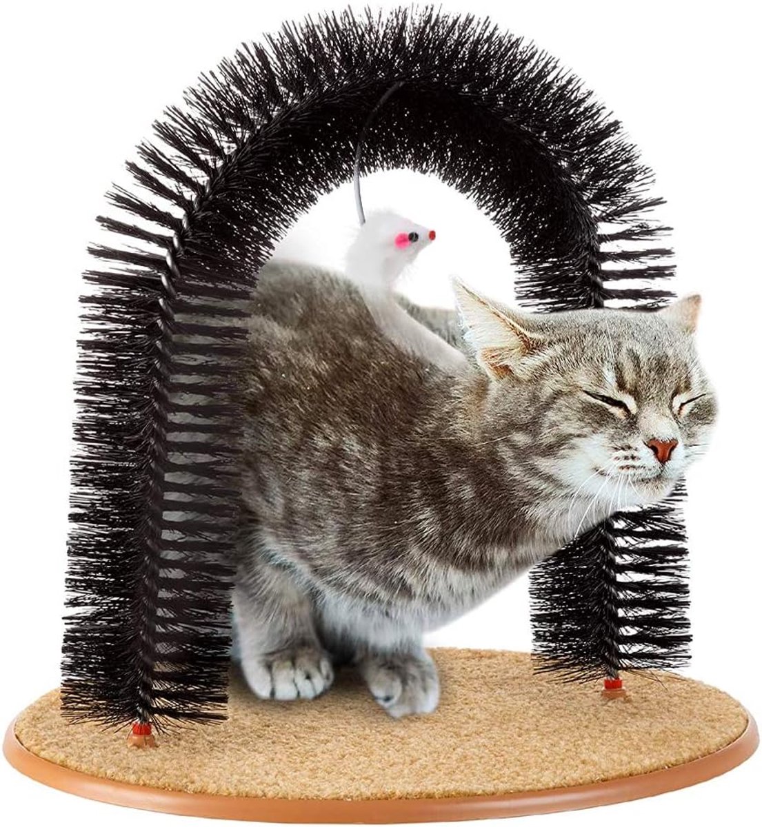 Krabborstel voor Katten - Boogborstel Verzorger - Zelfverzorging Huisdier - Bijtbestendig Materiaal - 29 x 36 cm - Zwart