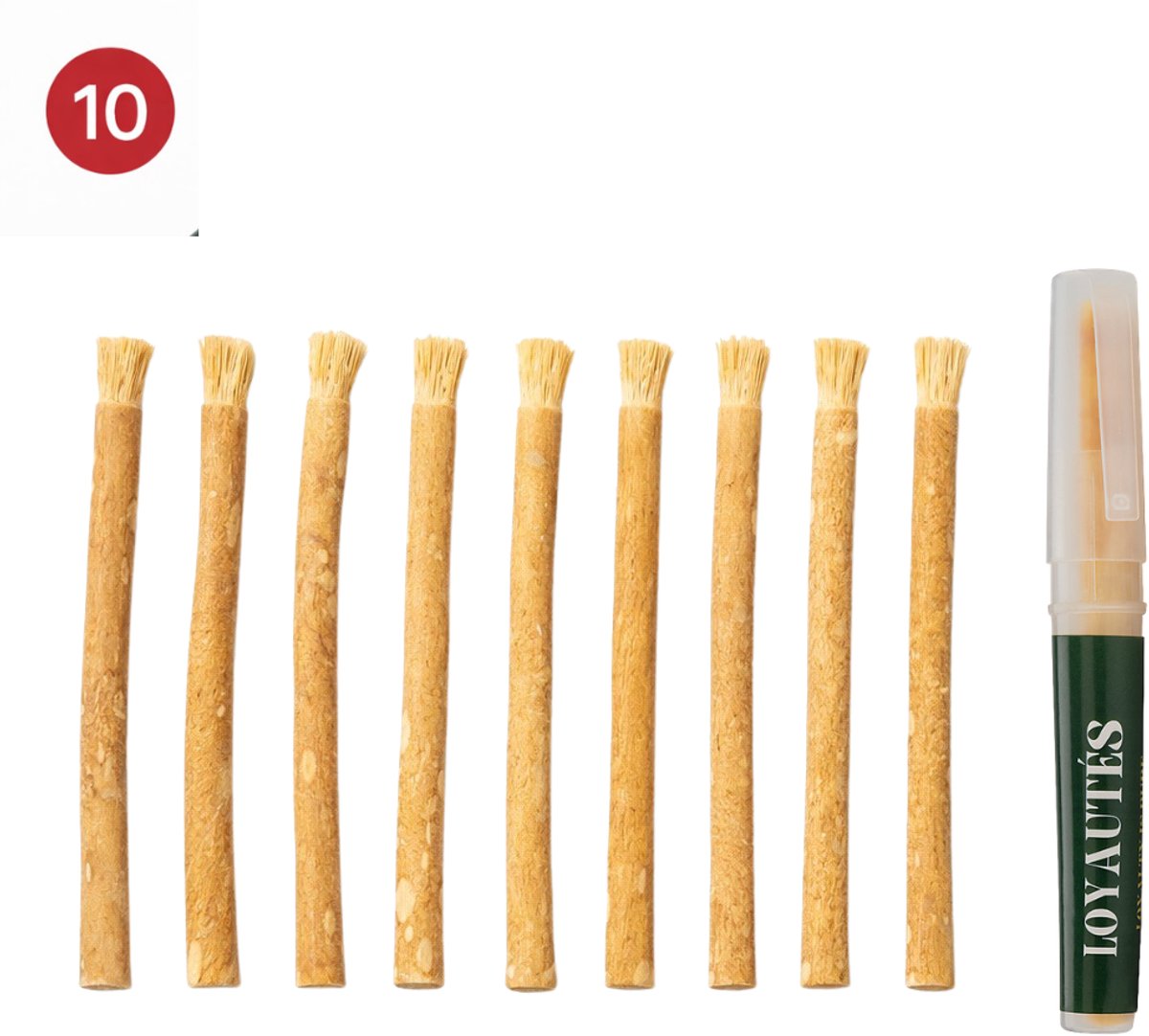 Miswak 10 stuks – Gratis Houder – Siwak – Natuurlijke Tandenborstel – Biologisch & Fluoridevrij – Antibacterieel – Sunnah – Halal Verzorging – Tandverzorging – Vegan
