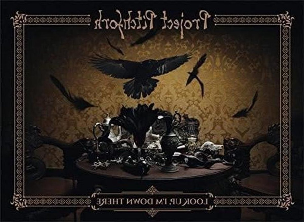 Project Pitchfork - Look Up I'm Down There! - Muziek Luisteren - Dubbel Album - 196 cm - N.v.t.