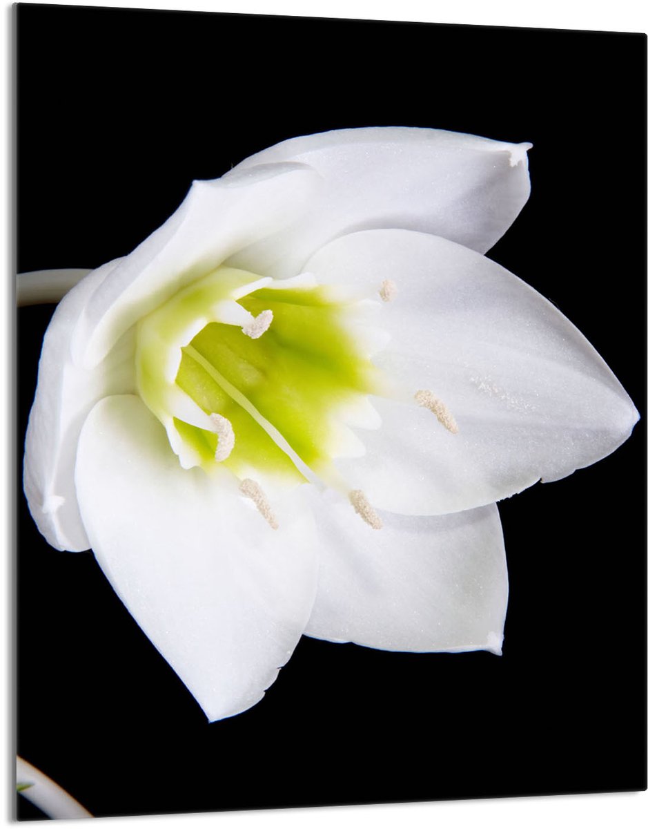 TMK ArtDeko - Snijplank - 40x52 cm - Orchidea - Glas - Veilig en Modern