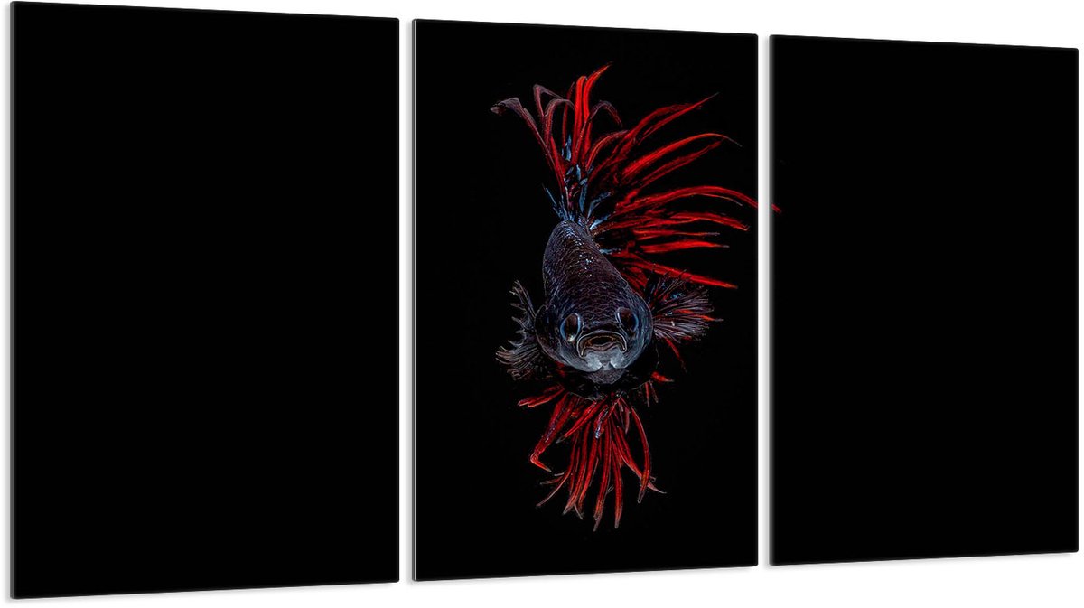 TMK ArtDeko - Glazen Beschermplaat - 3x30x52 cm - Veiligheidsglas - Veelzijdig Gebruik