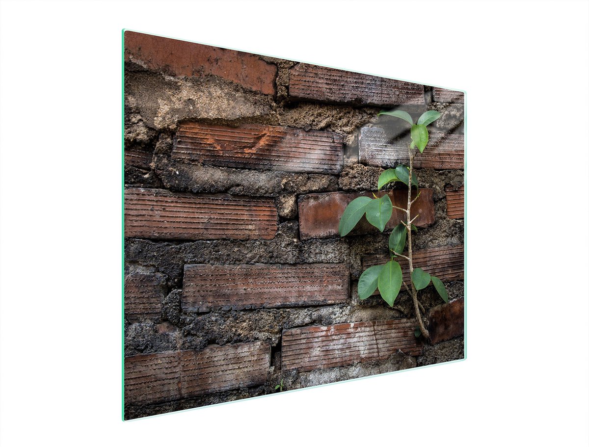 TMK ArtDeko - Snijplank - 52x40cm - Glas - Hittebestendig