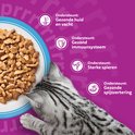 Zilveren kat met gele ogen kijkt naar bakje met natvoer. Iconen voor gezonde huid, immuunsysteem, spieren en spijsvertering.