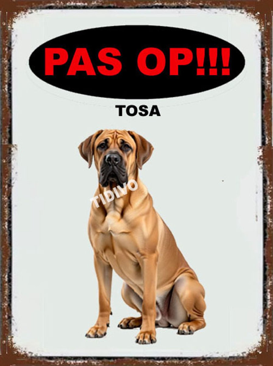 Tosa 17