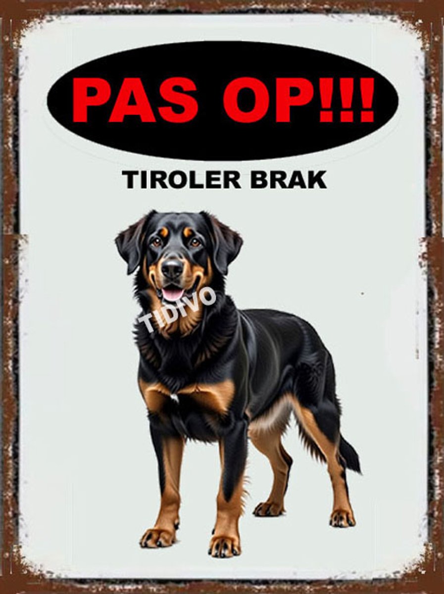 Tiroler Brak 17