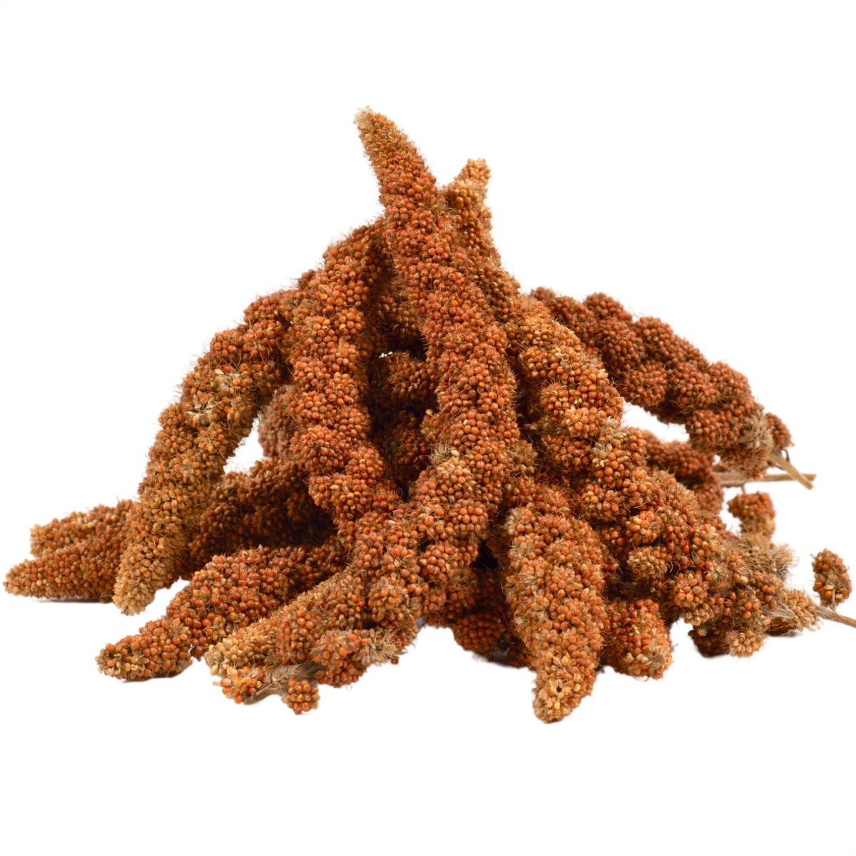 1 kg Lyra Pet® rode vossenstaartgierst