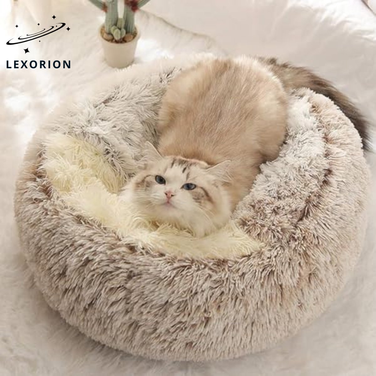 Kattenmand “Shell” Ø 50 cm – Luxe Pluche & Extra Gevuld – Comfortabel Halfgesloten Design – Antislip Bodem – Koffie