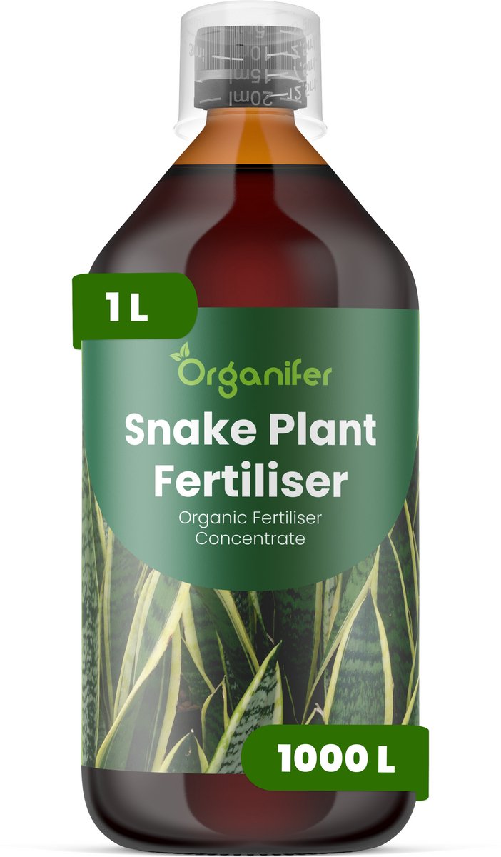 Vloeibare Meststof Voor Sansevieria 1 L Voor 1000 L - Npk 2-1-8 - Opgaande Bladgroei - Sterke Bladkleur - Bladstevigheid - Gelijkmatige Groei - Sterk Wortelstelsel - Zachte Nutriëntenopname - Herstel Na Verpotten - Organifer