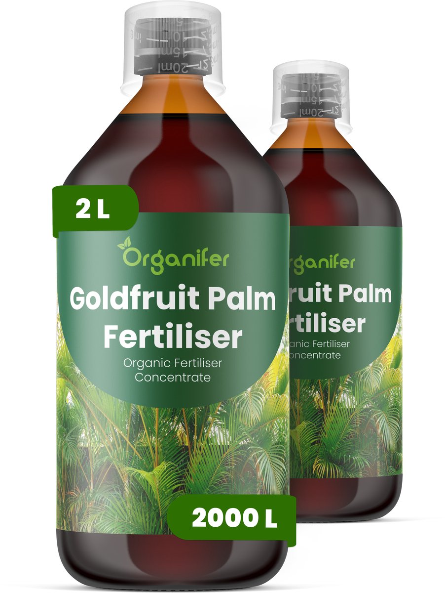 Vloeibare Meststof Voor Goudpalm 2X1 L Voor 2000 L - Npk 2-1-8 - Weelderige Groei - Versterkt Wortels Voor Betere Vochtregulatie - Vermindert Bladpuntverkleuring Door Kaliumrijke Voeding - Ideaal Voor Kamerpalmen - Organifer