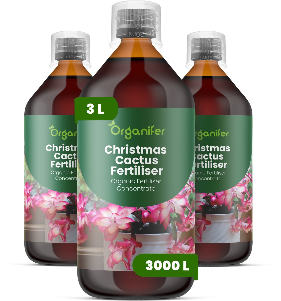 Vloeibare Meststof Voor Kerstcactus 3X1 L Voor 3000 L - Npk 2-1-8 - Knopvorming - Rijke Winterbloei - Sterk Wortelstelsel - Stevige Gesegmenteerde Stengels - Kleu - Vitaliteit - Langdurige Bloei - Gelijkmatige Groei - Organifer