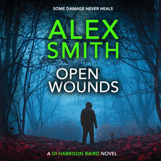 DI Harrison Baird- Open Wounds - cover