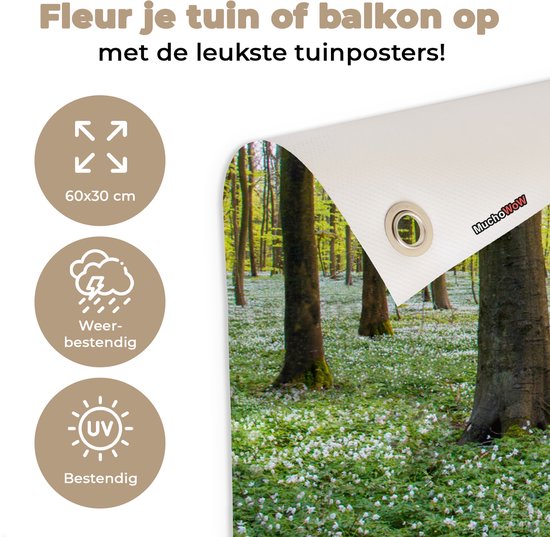 Affiche de jardin Arbres - Fleurs - Printemps - 60x30 cm