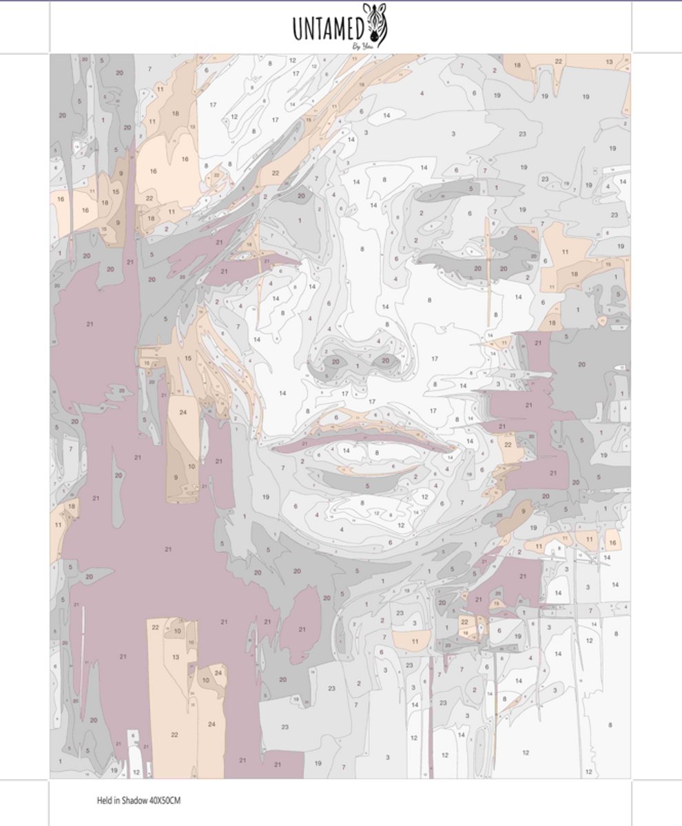 MET FRAME - Paint by numbers – schilderen op nummer – DIY decoratie – Modern portret – Held in Shadow — afbeelding 6