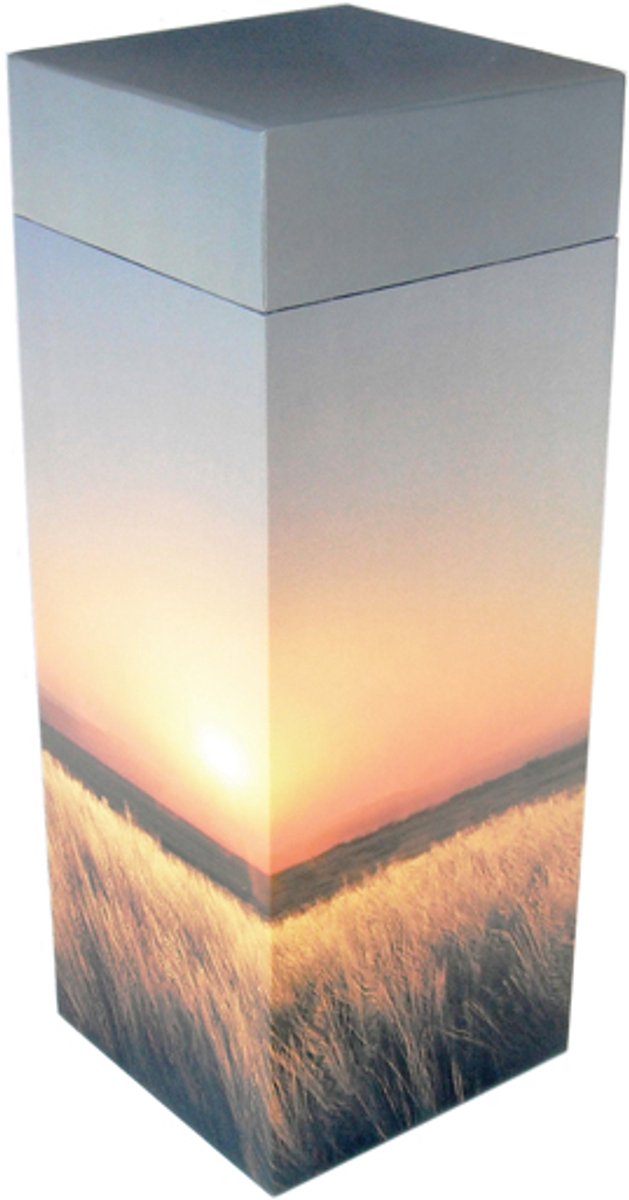 Urn Urnen Strooikoker Medium 27x10 Strooibus Bewaarkoker voor as Eco Milieuvriendelijk Biologisch afbreekbaar Zonsondergang Korenveld M