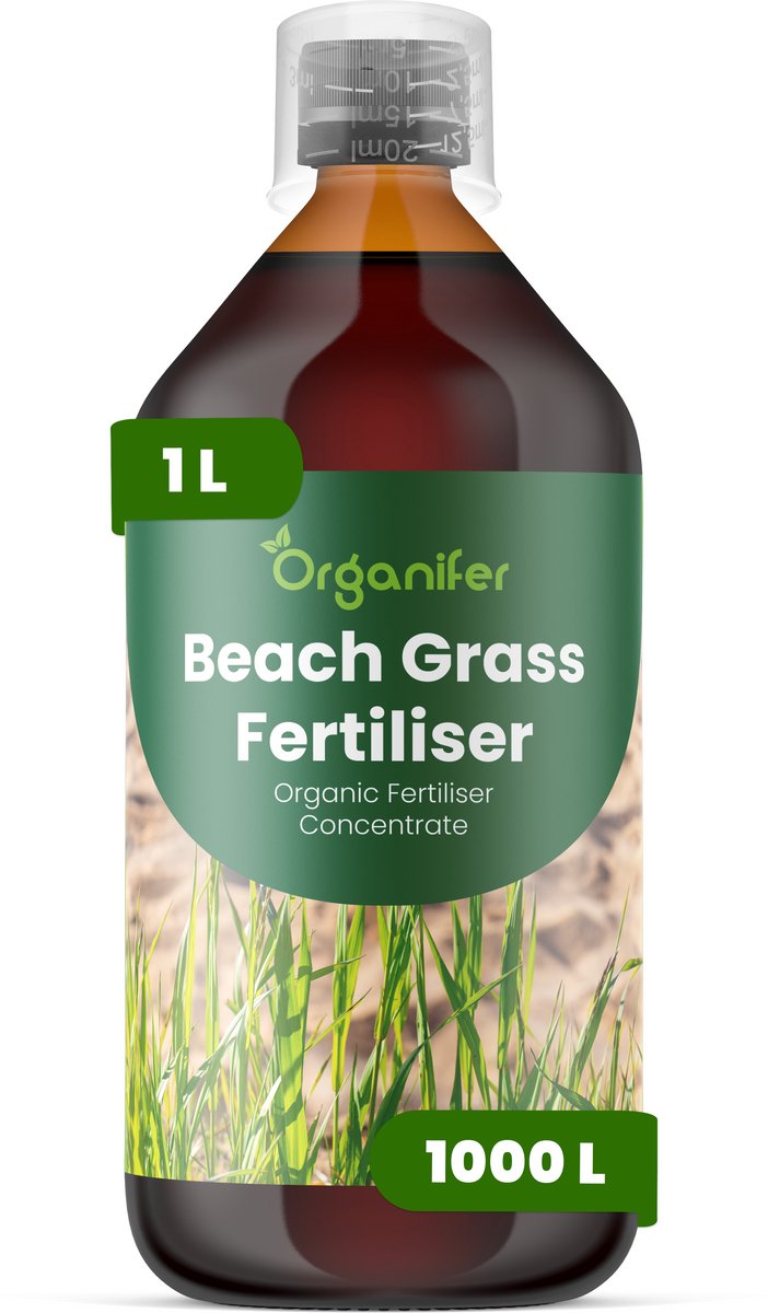 Vloeibare Meststof Voor Strandgras 1 L Voor 1000 L - Npk 2-1-8 - Vloeibare Meststof Voor Sterk Gras - Gezonde Wortels – Bevordert Vitaliteit - Verbeterde Bodemleven - Diepe Wortels - Organifer