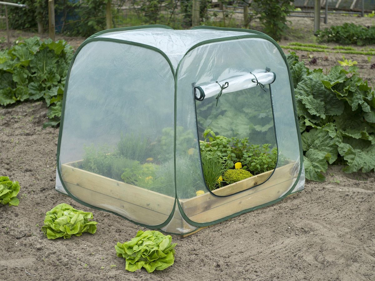 Talen Tools Nature Tuinbroeikas pop-up - 100 x 100 x 100cm
