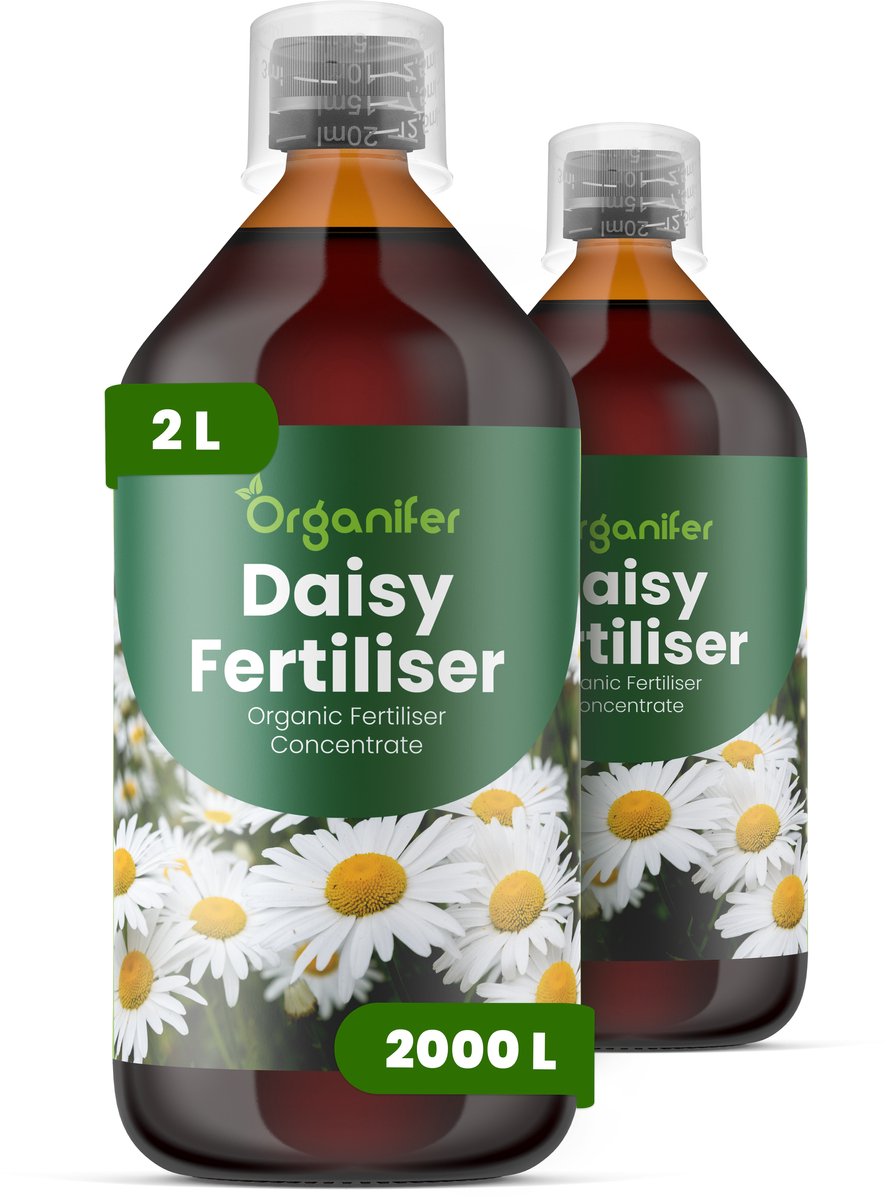 Vloeibare Meststof Voor Margriet 2X1 L Voor 2000 L - Npk 2-1-8 - Krachtige Groei - Rijke Bloei - Heldere Bloemen - Sterke Wortels -Continue Bloei- Betredingsbestendig - Kleurintensiteit - Langdurige Bloei - Herhaalde Bloeicycli - Organifer