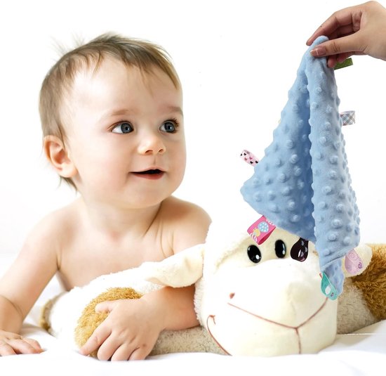 Zachte en Knuffelbare Babydekens, Comfortabele Sensory Doeken voor Jongen, Perfecte Cadeaus voor Babyshowers en Verjaardagen (24.5 x 24.5cm, Blauwe Label) — afbeelding 2