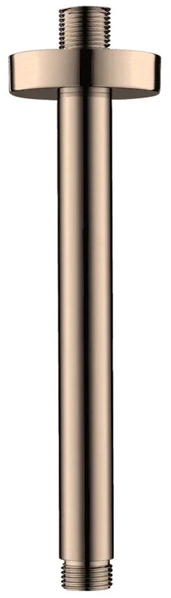DutchLine - Grip Plafondarm 200 – Geborsteld staal