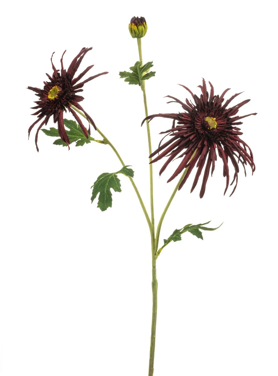 Kunstbloem Spinchrysant Spider Bruin - Sfeervolle Woondecoratie