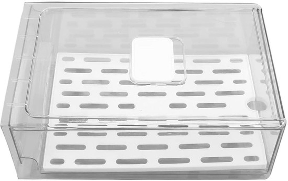 Fruitopslag Koelkast Conserveringsdoos 1PC - Grote Koelkast Opbergdoos voor Fruit - Bewaardoos met Aftapplaat