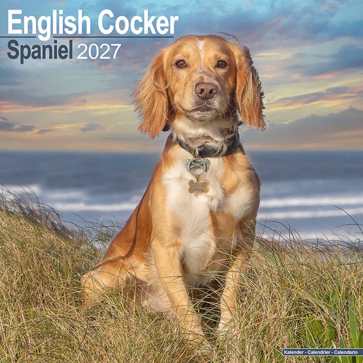 Engelse Cocker Spaniel Kalender 2027
