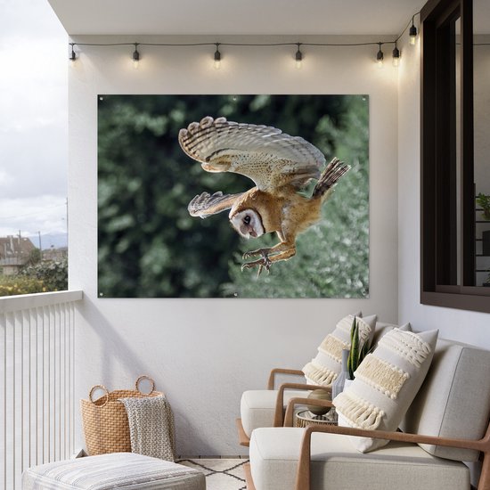 Attaque chouette 160x120 cm XXL / Groot taille!