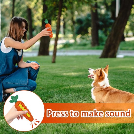 Vrouw houdt oranje wortelspeeltje omhoog voor een corgi in een park. Onderschrift: "Press to make sound".