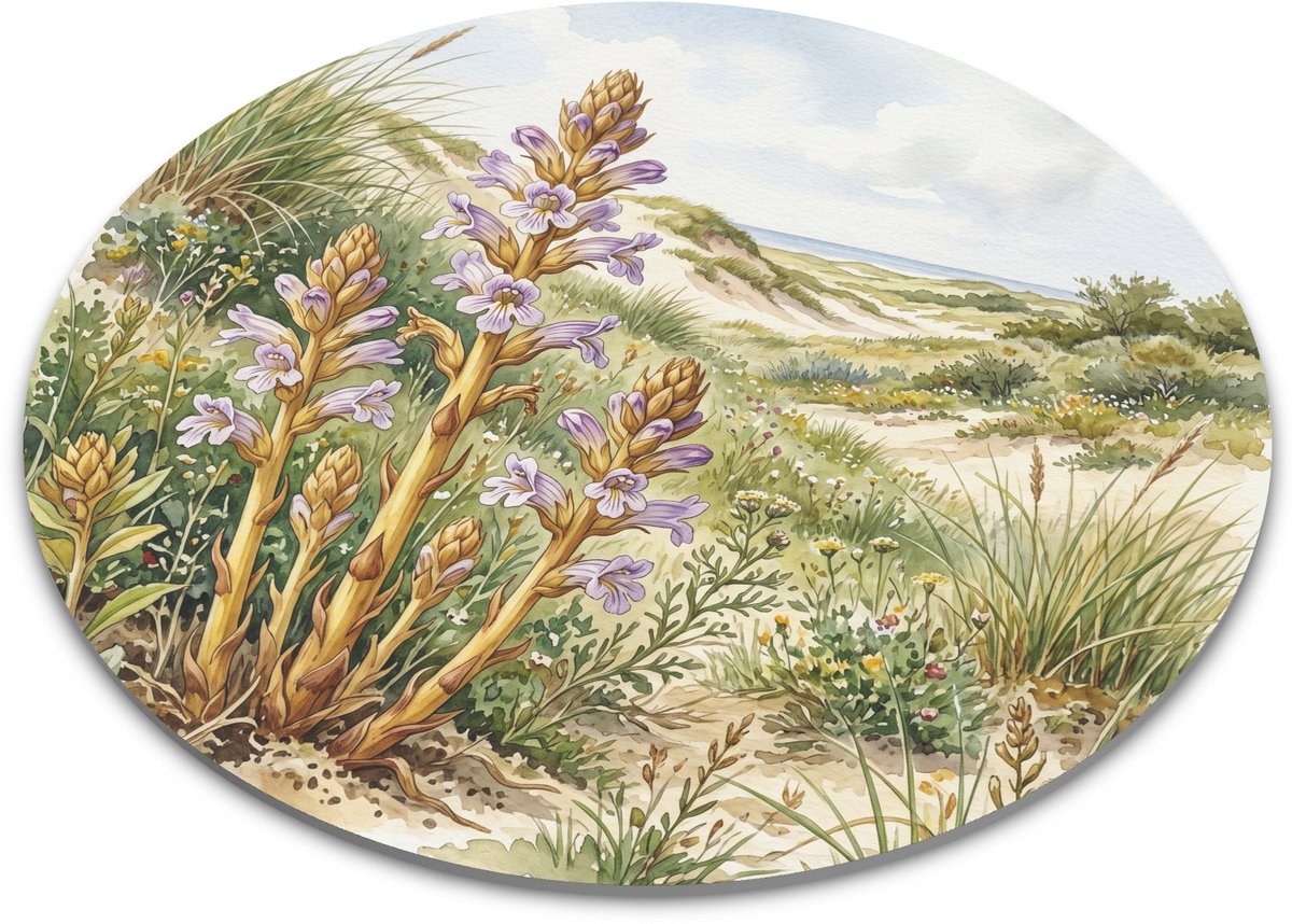 Ronde muismat - Walstrobremraap (Orobanche caryophyllacea) - Aquarel van een duinlandschap met wilde bloemen - Bureau accessoire en muismat rond