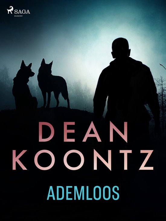 Ademloos - cover
