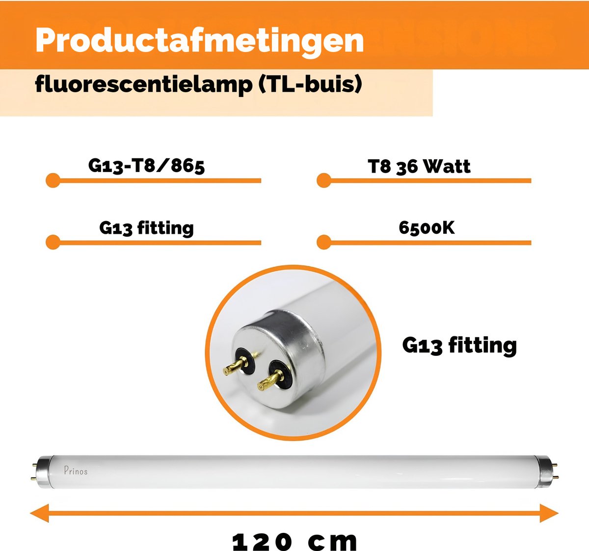 Originele TL Buis 120 cm – 36W TL-D lamp – 865 Koel wit licht 6500K – T8 G13 Universeel — cadeau in Cadeau-ideeën - foto 4