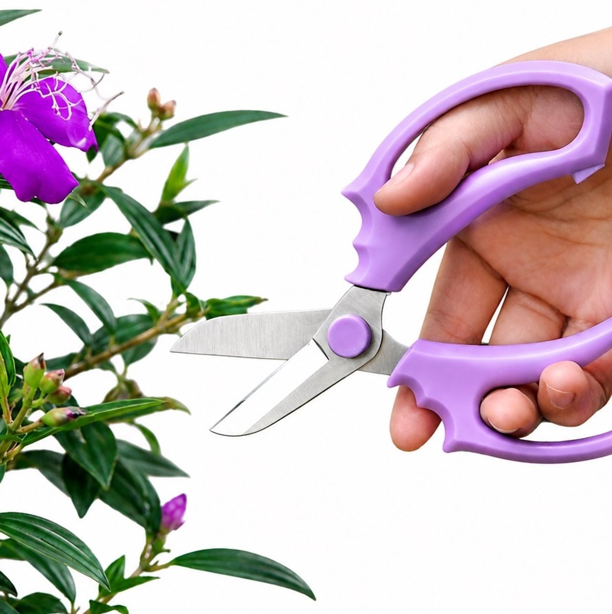 Snoeischaar voor Bloemen & Planten 17 cm – Paarse Multifunctionele Bloemenschaar met RVS 2Cr13 Bladen – Professionele Snoeischaar voor Tuinieren, Bloemschikken & Oogsten