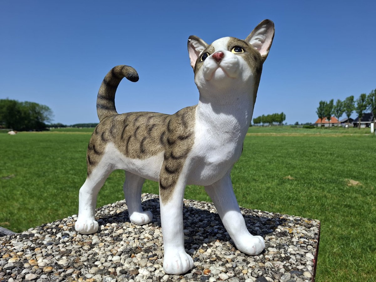 Polystone Kattenbeeld – Levensechte Cyperse Kat Staand – 36 cm – Luxe Dierenbeeld voor Binnen en Buiten