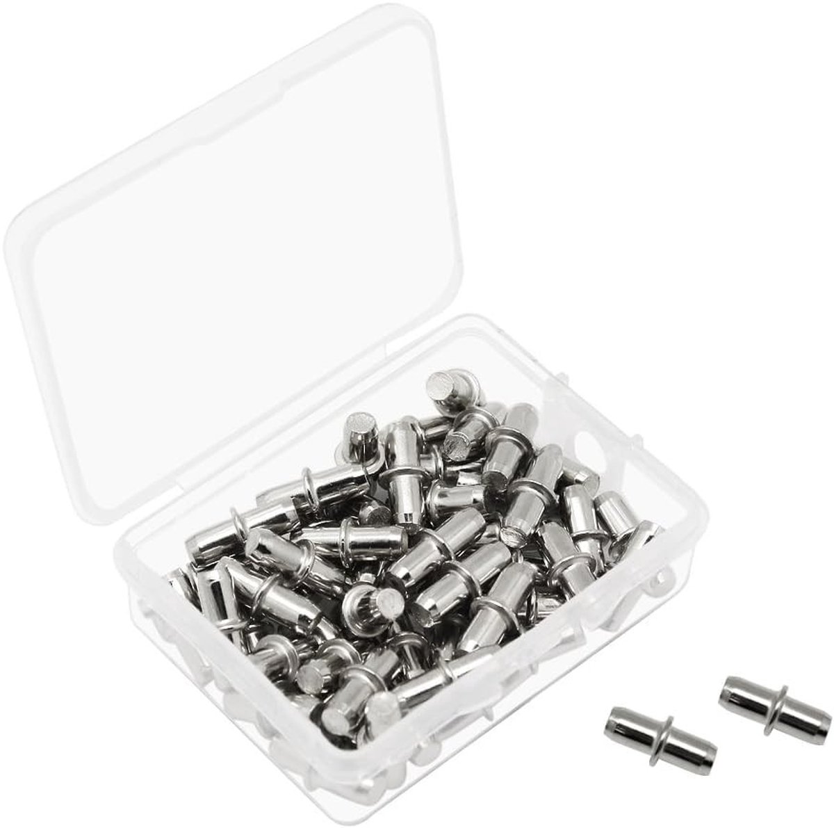 Dailygoods - Dailygoody - Metalen Plank Ondersteuning Pins - 50 stuks - Compacte Doos - Plankhouder Pinnen - Geschikt voor Keukenkast en Boekenkast