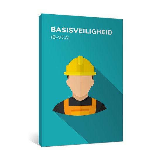 Basisveiligheid (B-VCA) - cover