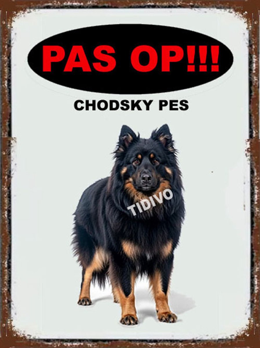 Chodsky Pes 17